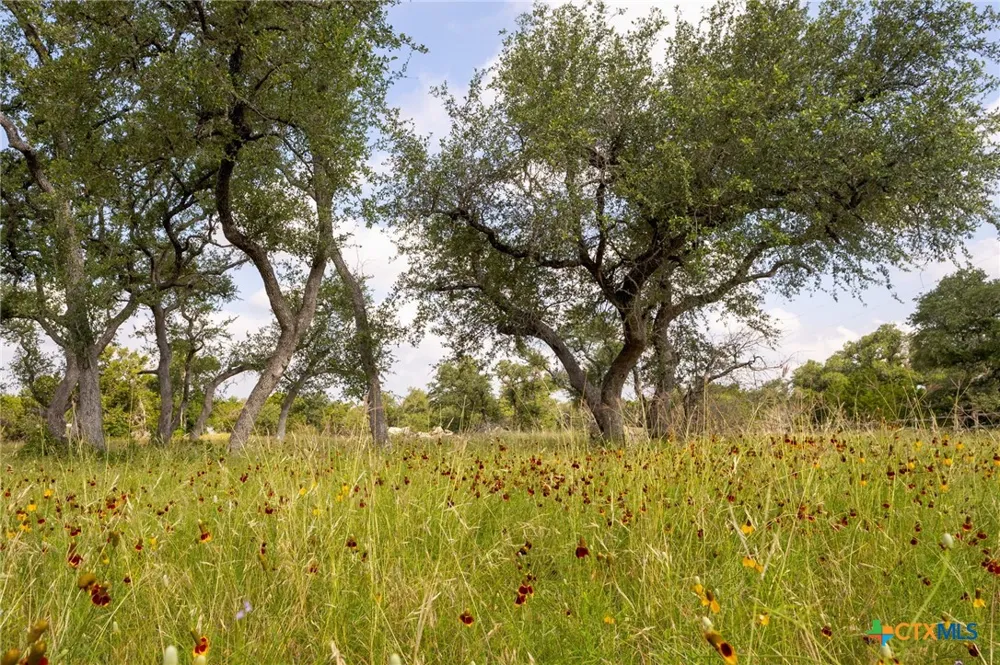 1907 Falconwood Drive San Marcos, TX 78666