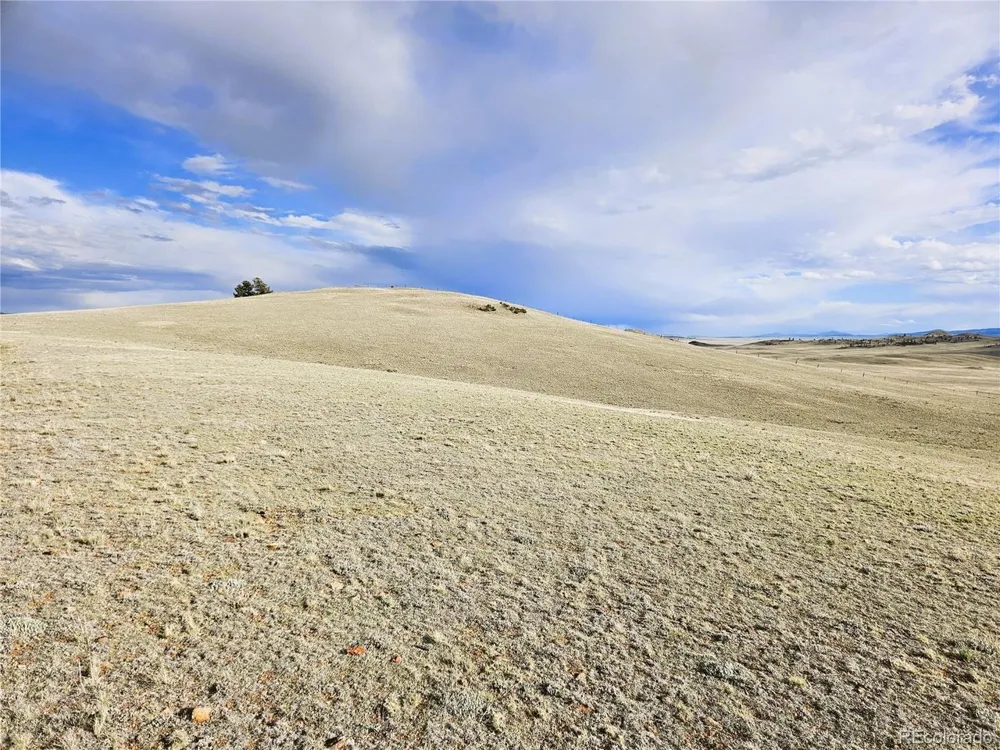 24139 Antero Road Hartsel, CO 80449