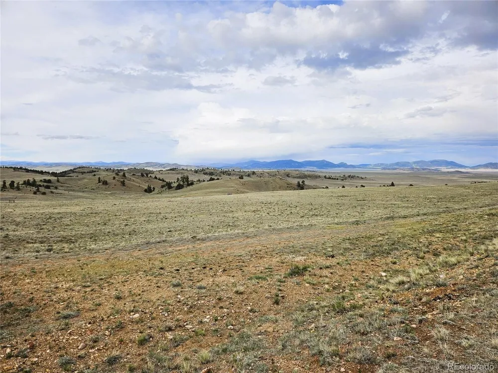 24139 Antero Road Hartsel, CO 80449