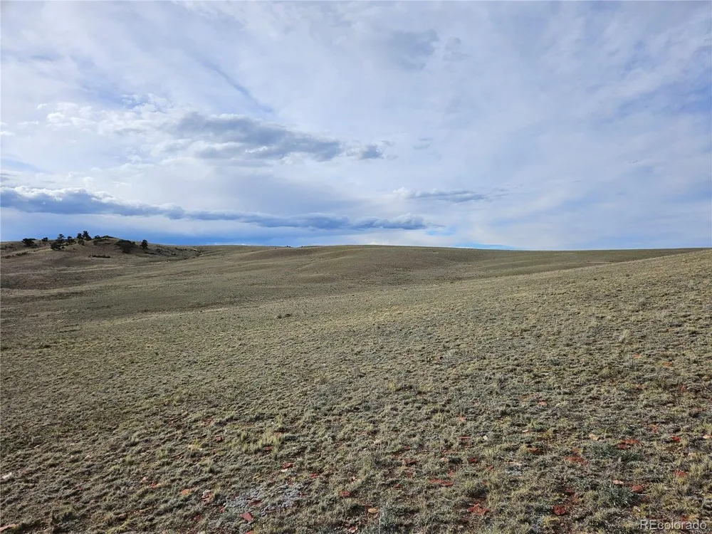 24139 Antero Road Hartsel, CO 80449