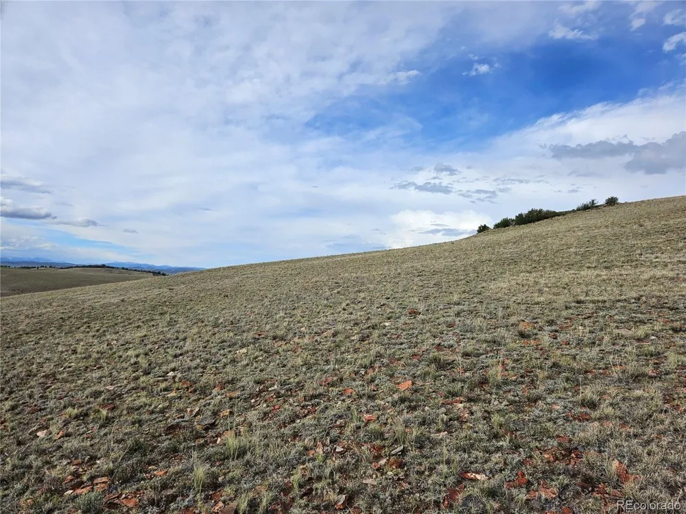 24139 Antero Road Hartsel, CO 80449