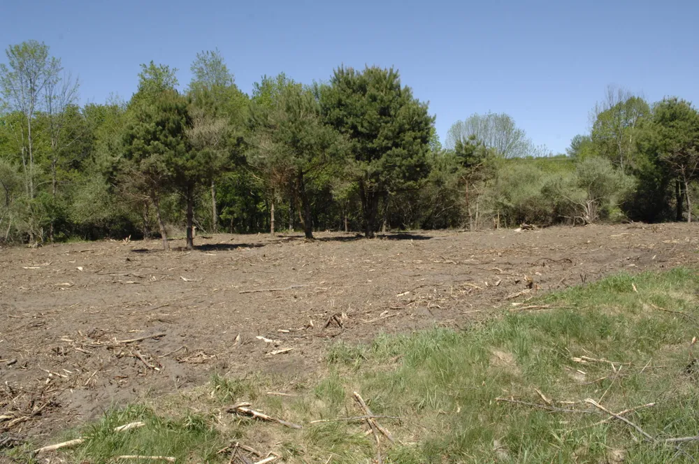 W Marshville Dam Road Shelby, MI 49455