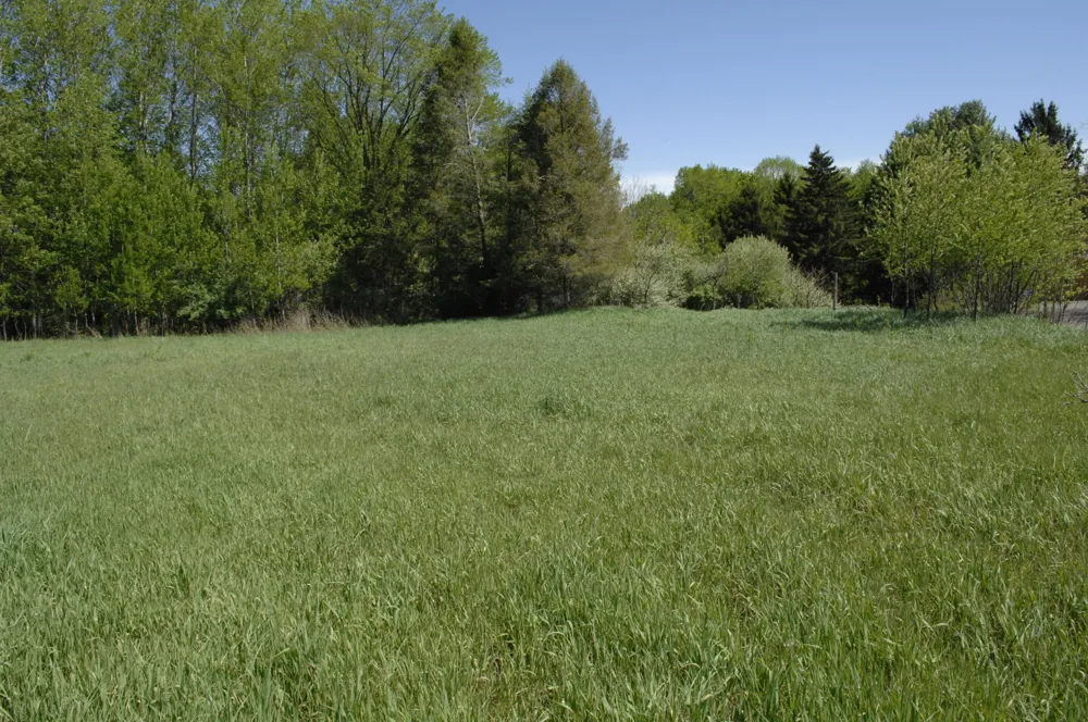 W Marshville Dam Road Shelby, MI 49455
