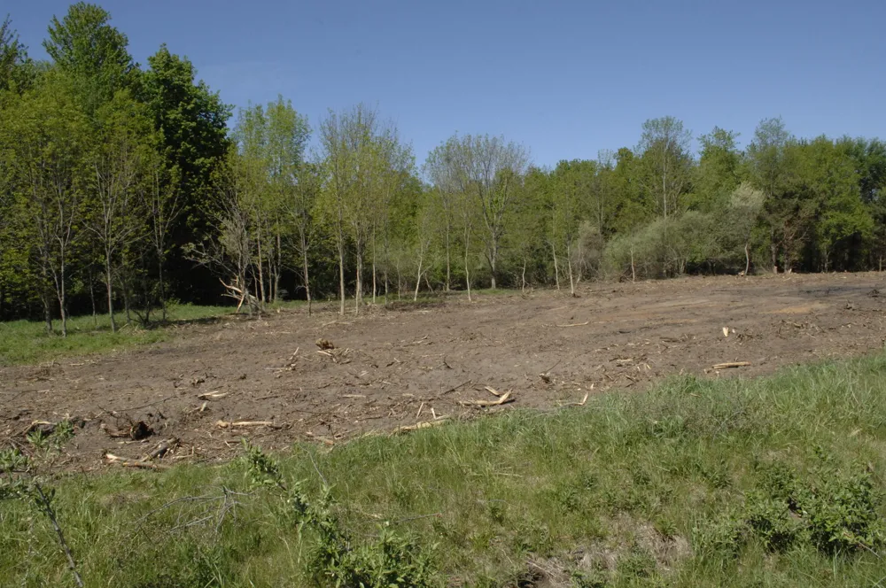 W Marshville Dam Road Shelby, MI 49455