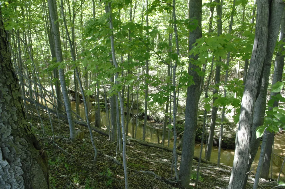 W Marshville Dam Road Shelby, MI 49455