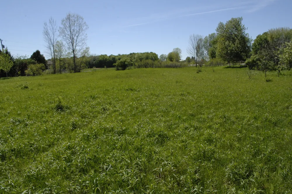 W Marshville Dam Road Shelby, MI 49455