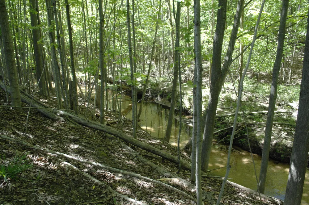 W Marshville Dam Road Shelby, MI 49455