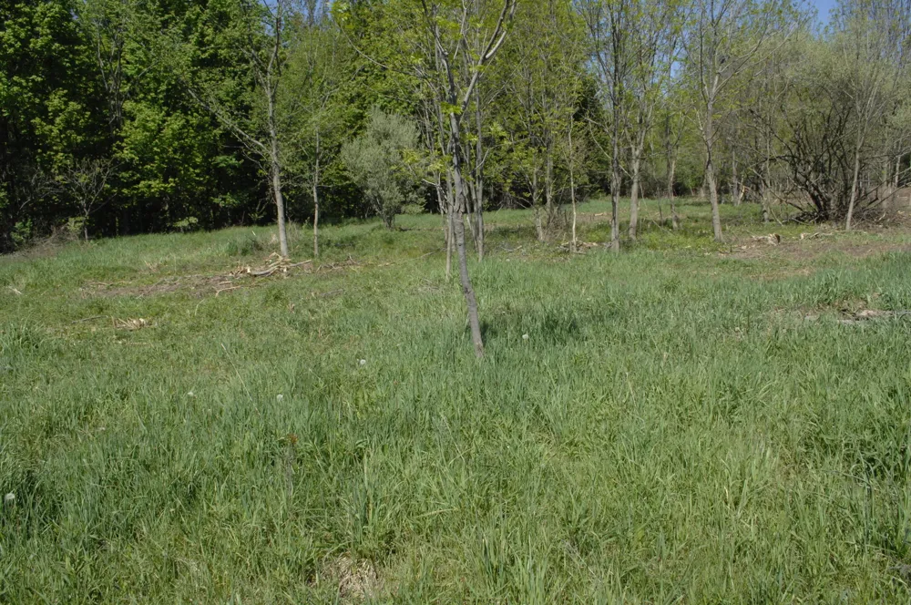 W Marshville Dam Road Shelby, MI 49455