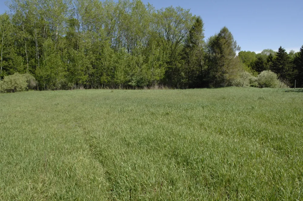 W Marshville Dam Road Shelby, MI 49455