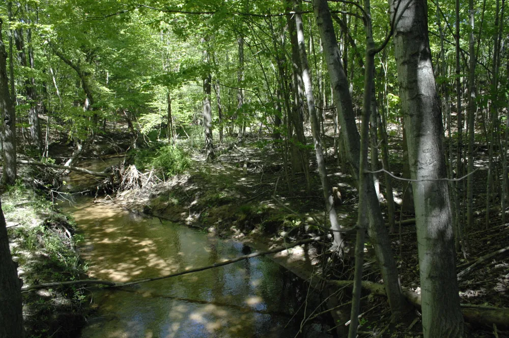 W Marshville Dam Road Shelby, MI 49455