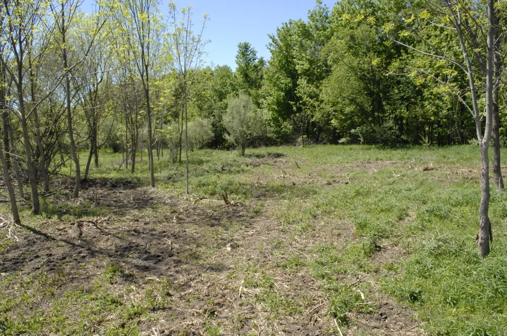W Marshville Dam Road Shelby, MI 49455