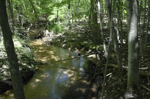 W Marshville Dam Road