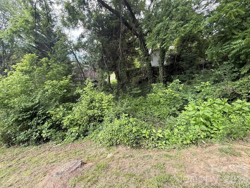 31 Paralee Lane Waynesville, NC 28786