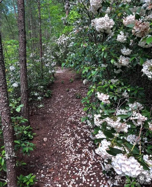175 Green Hills Road Mill Spring, NC 28756