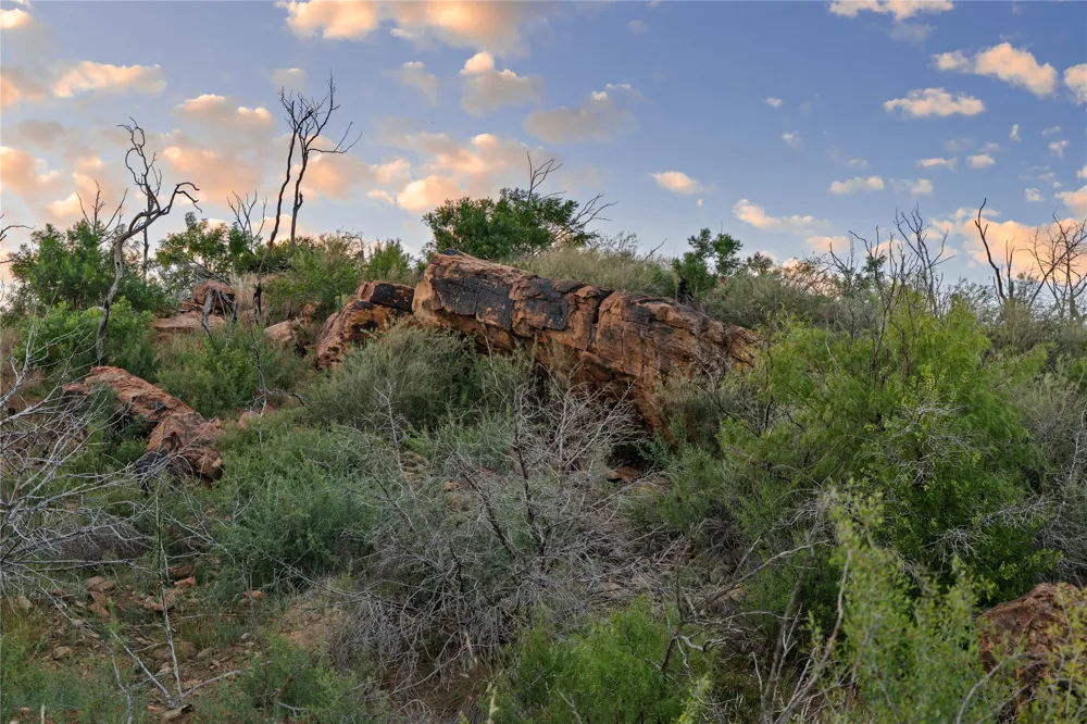 FM 1148 Graham, TX 76450