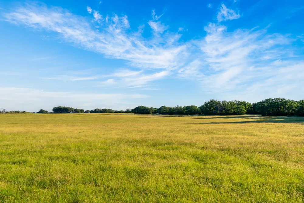 Feild Ranch Road Burnet, TX 78611