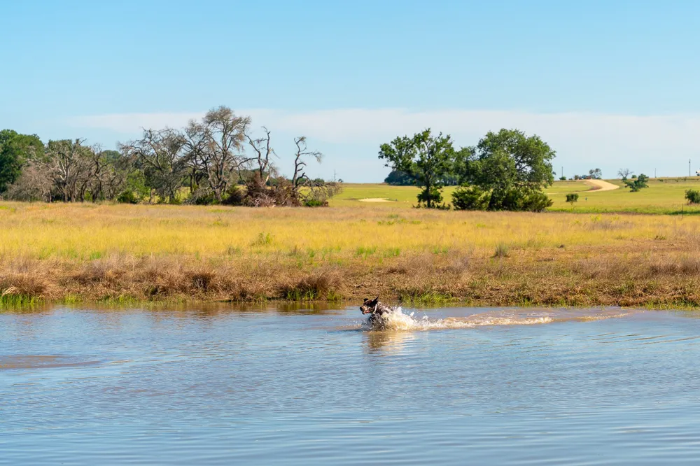 Feild Ranch Road Burnet, TX 78611