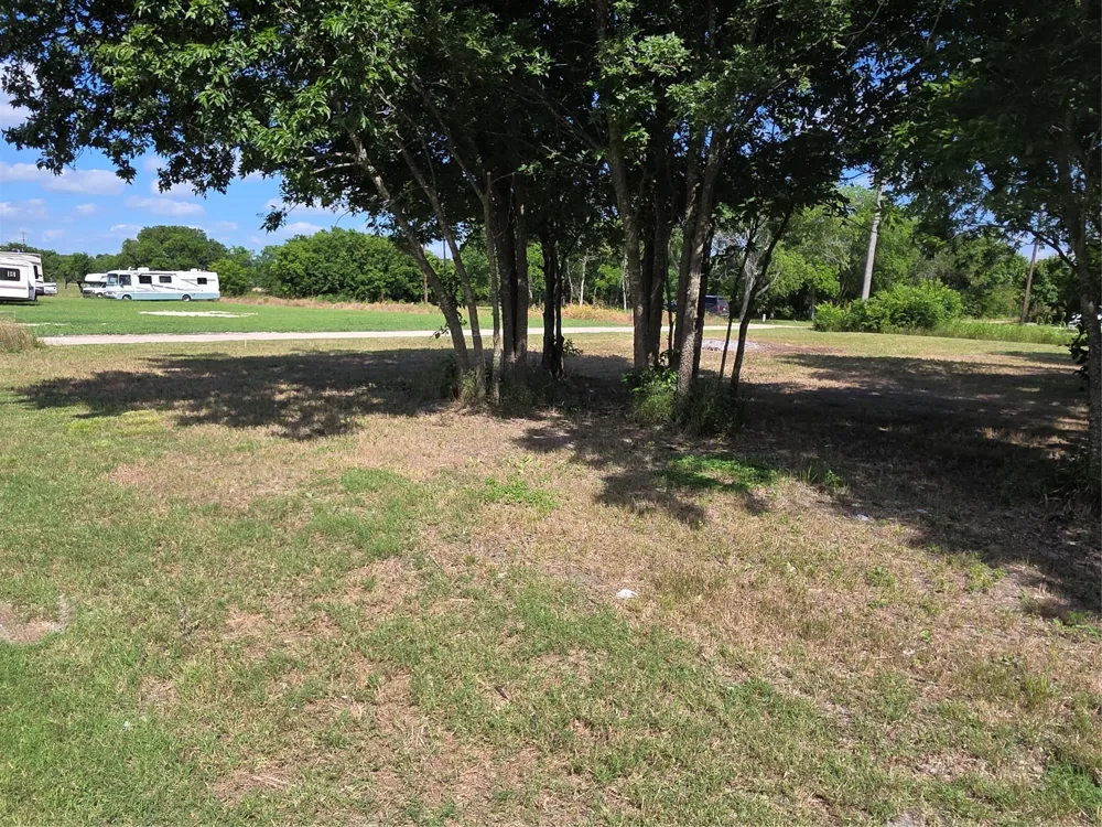 S Elm Mart, TX 76664