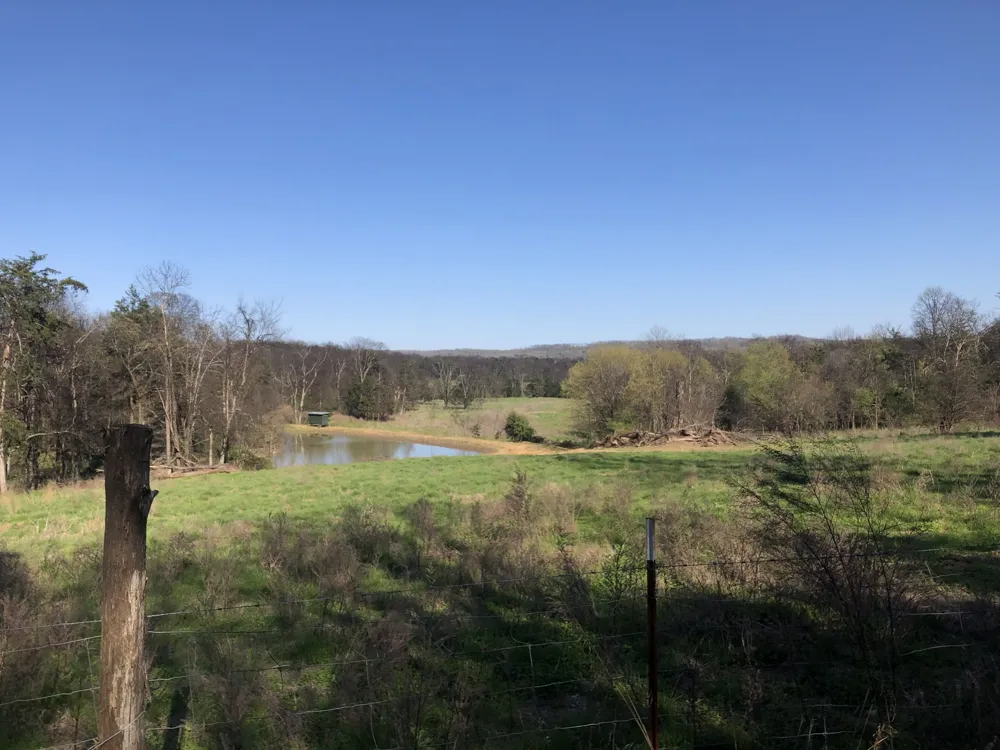 328 Wabash Road Lynchburg, TN 37352