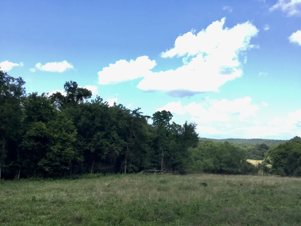 328 Wabash Road Lynchburg, TN 37352