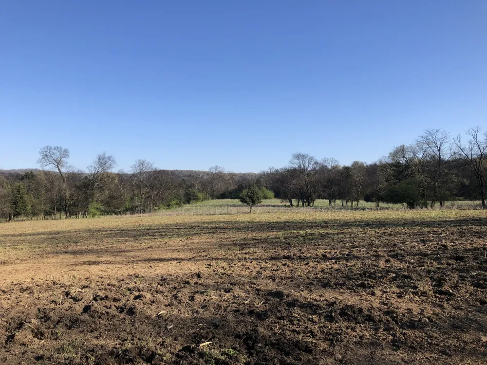 328 Wabash Road Lynchburg, TN 37352