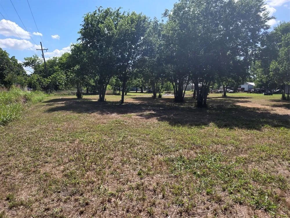S Elm Mart, TX 76664