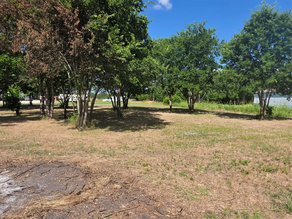 S Elm Mart, TX 76664