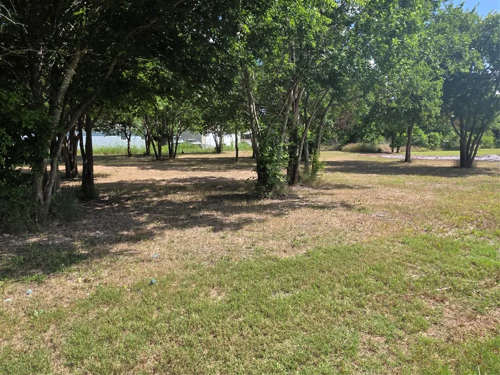 S Elm Mart, TX 76664