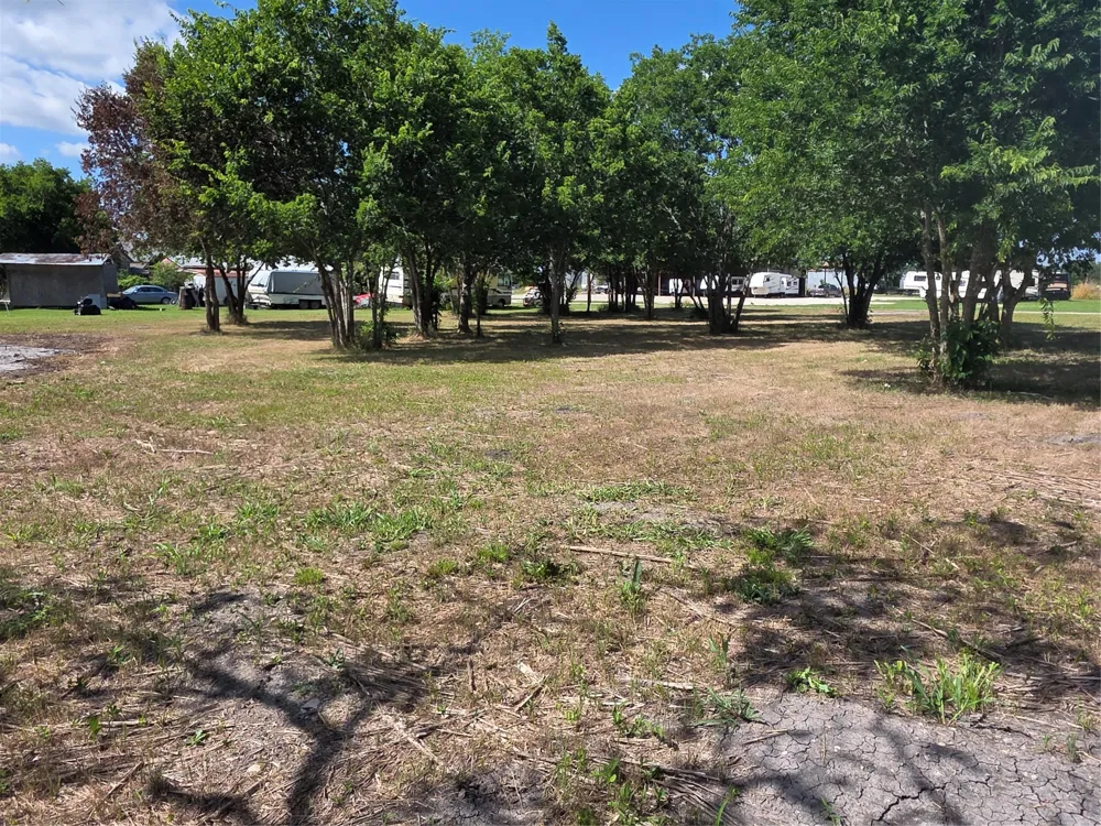 S Elm Mart, TX 76664