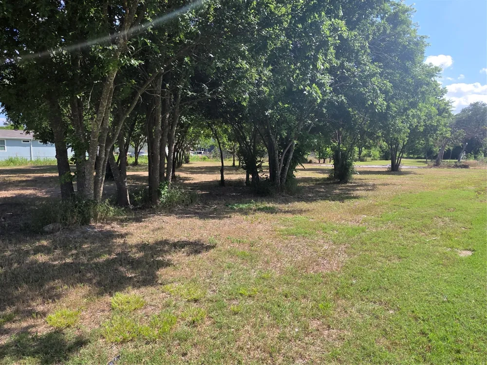 S Elm Mart, TX 76664