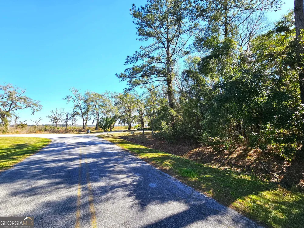 0 Bristol Hammock CIR Kingsland, GA 31548