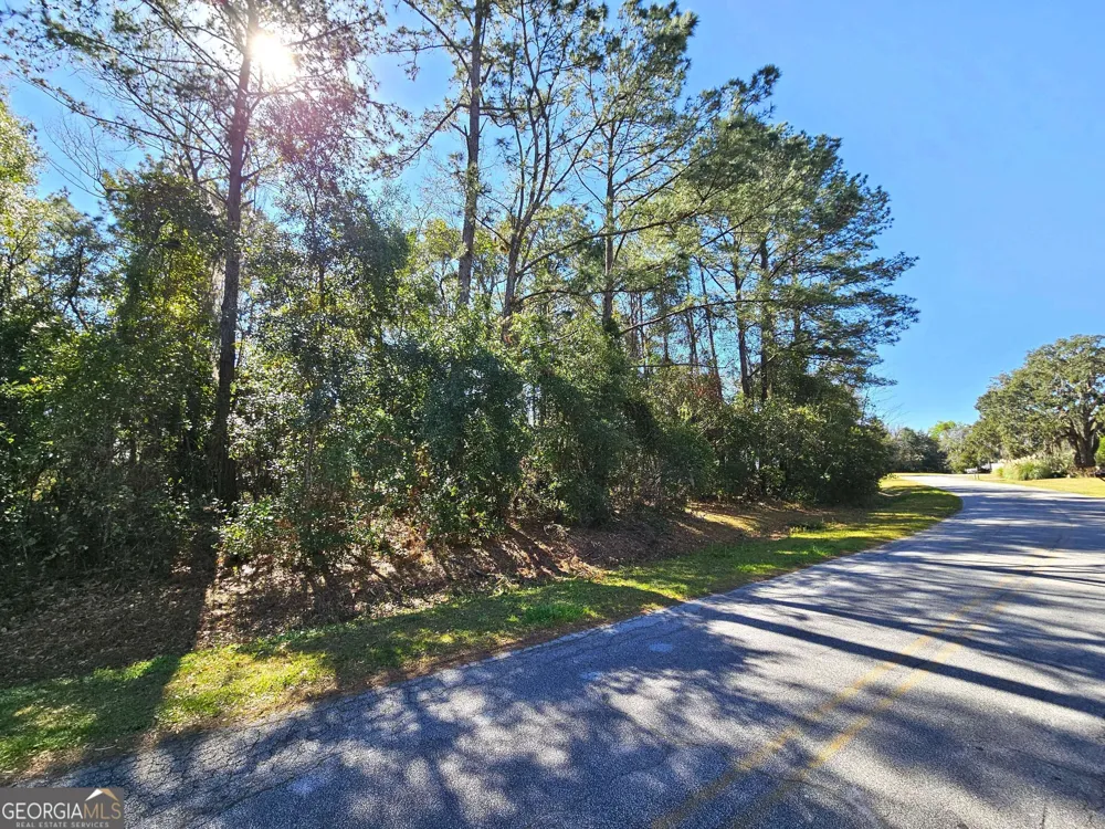 0 Bristol Hammock CIR Kingsland, GA 31548