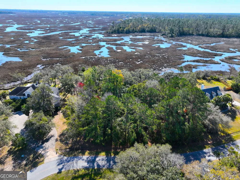 0 Bristol Hammock CIR Kingsland, GA 31548