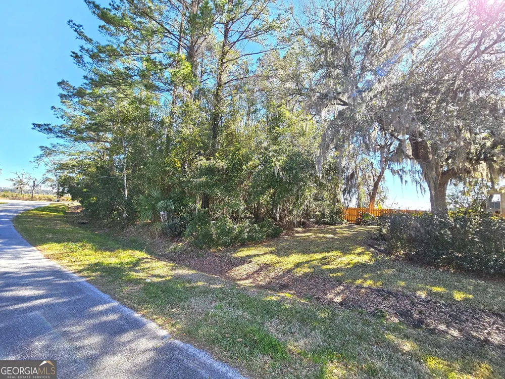 0 Bristol Hammock CIR Kingsland, GA 31548