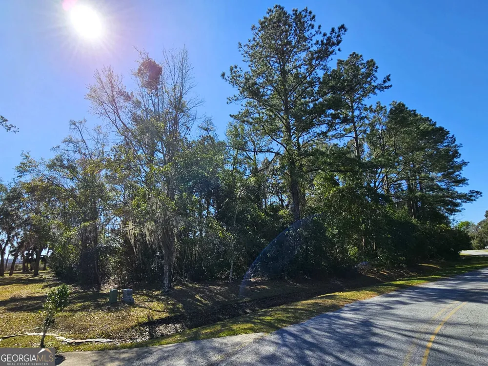 0 Bristol Hammock CIR Kingsland, GA 31548