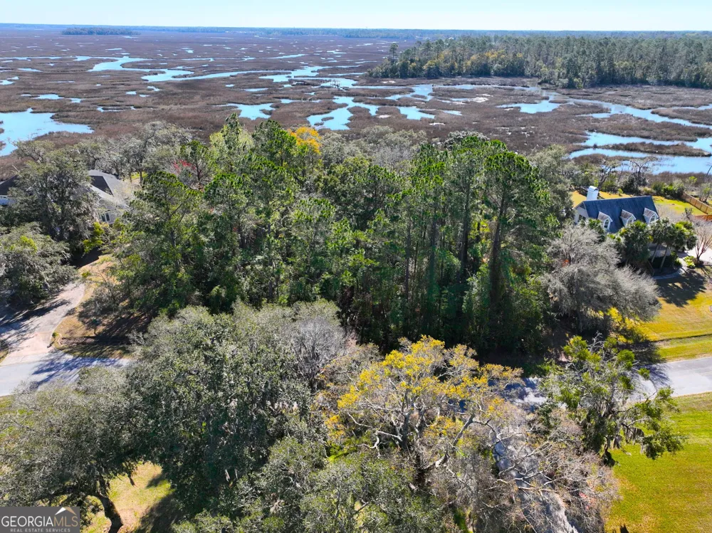 0 Bristol Hammock CIR Kingsland, GA 31548