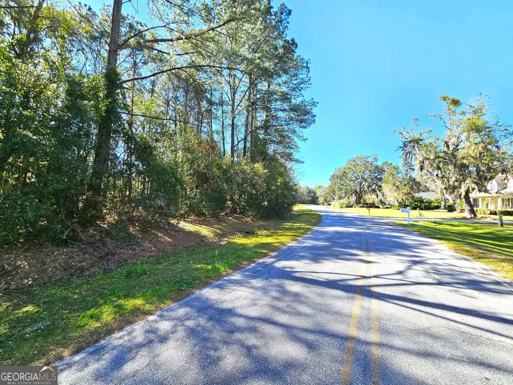 0 Bristol Hammock CIR Kingsland, GA 31548