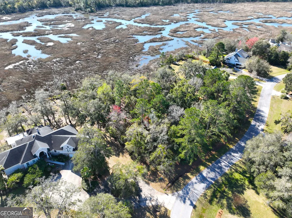 0 Bristol Hammock CIR Kingsland, GA 31548