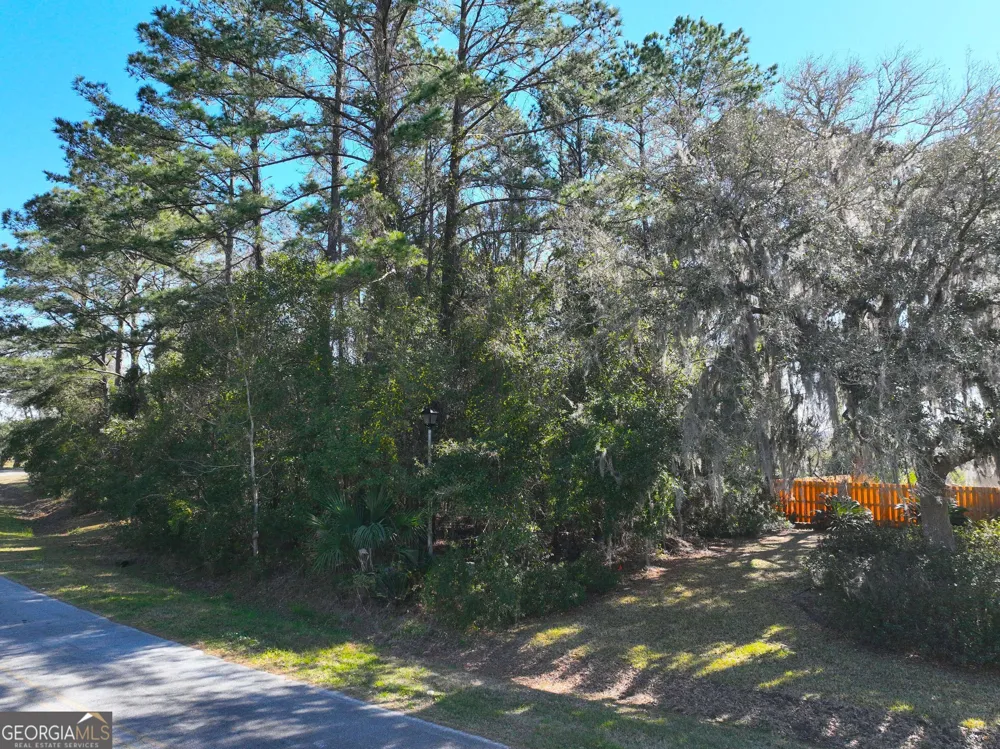 0 Bristol Hammock CIR Kingsland, GA 31548