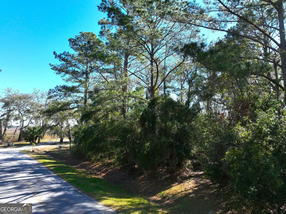 0 Bristol Hammock CIR Kingsland, GA 31548