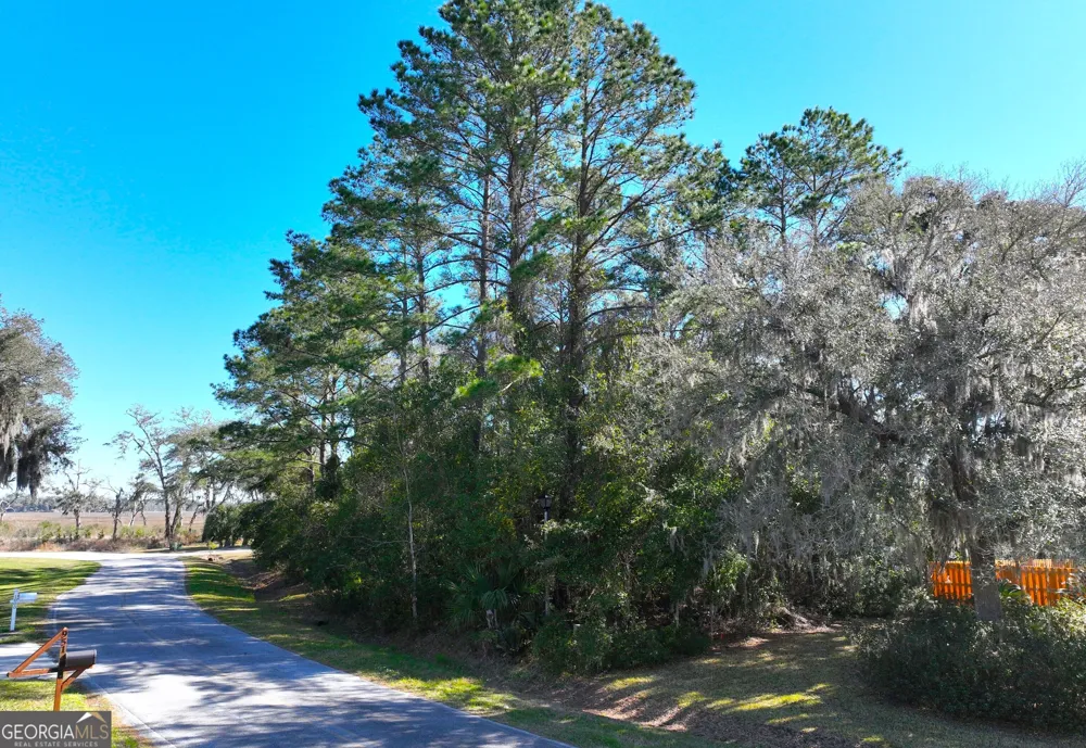 0 Bristol Hammock CIR Kingsland, GA 31548