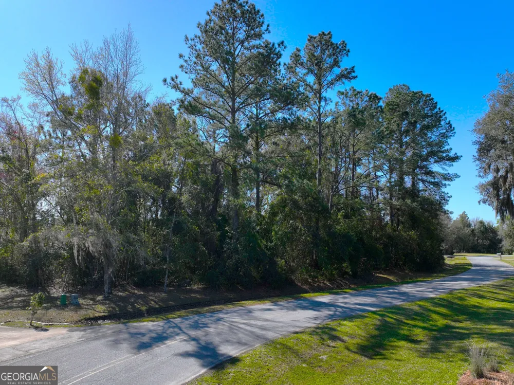 0 Bristol Hammock CIR Kingsland, GA 31548