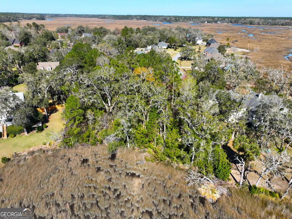 0 Bristol Hammock CIR Kingsland, GA 31548
