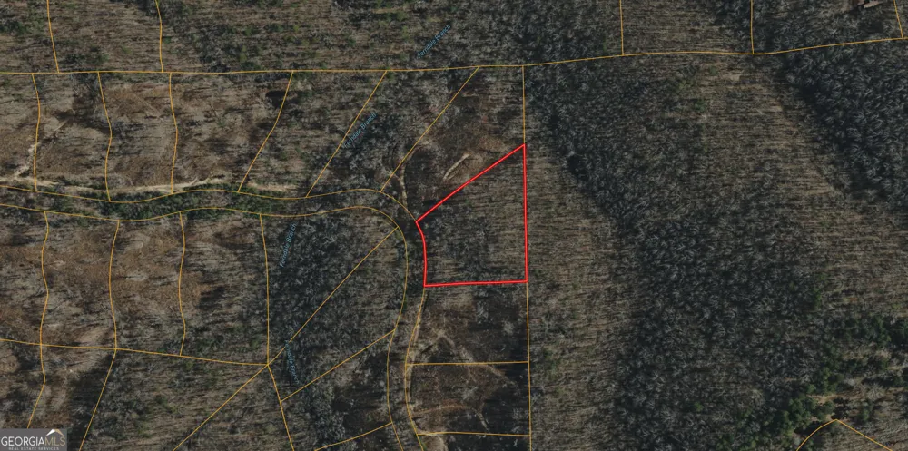 0 Chutala CRK Trenton, GA 30752