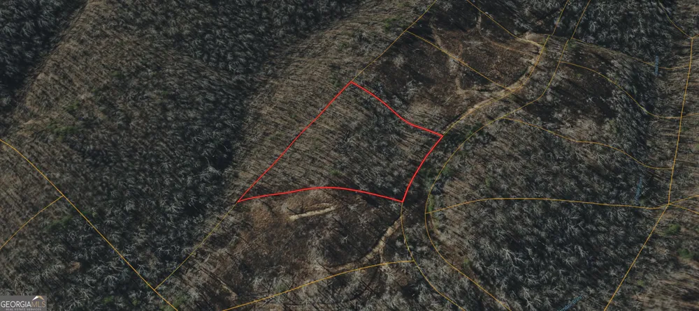 0 Chutala CRK Trenton, GA 30752
