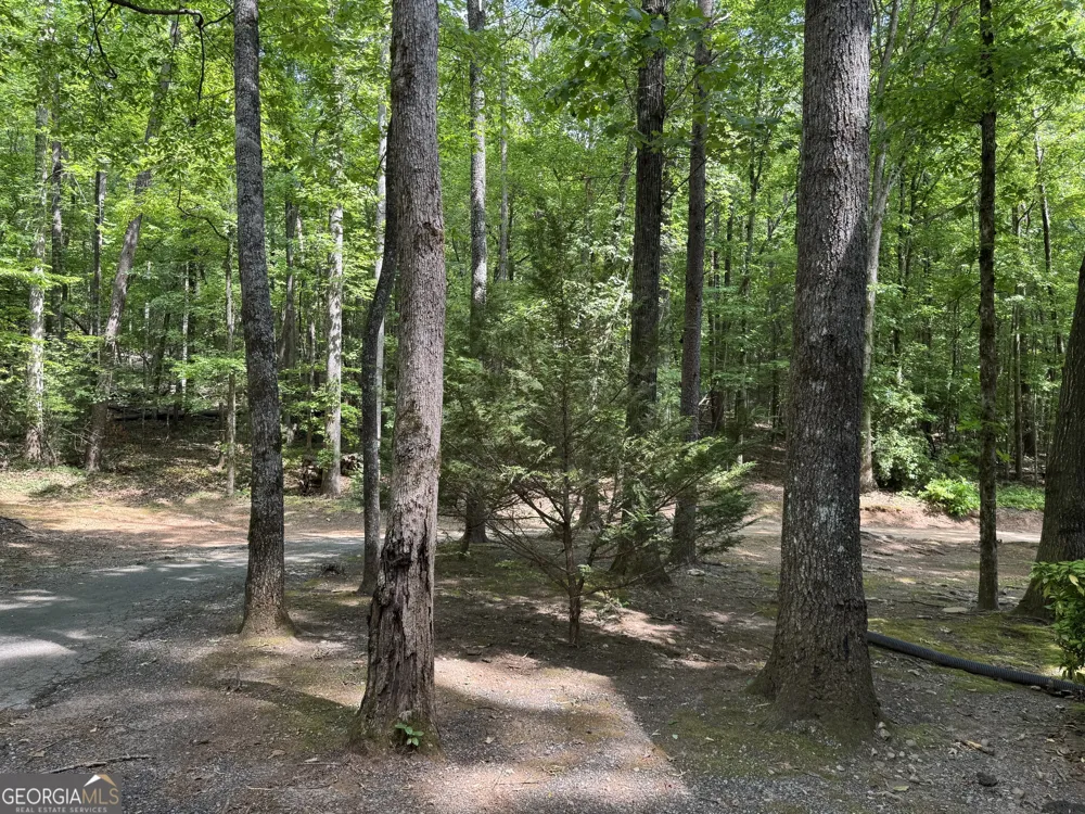 744 Skylake RD Sautee Nacoochee, GA 30571