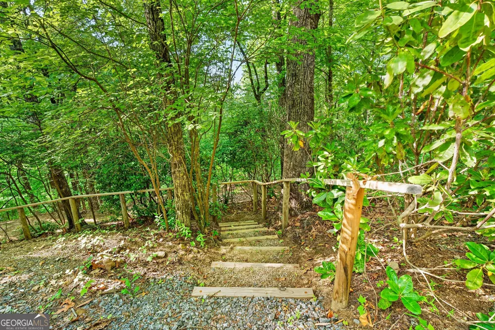 93 Martin XING Cherry Log, GA 30522