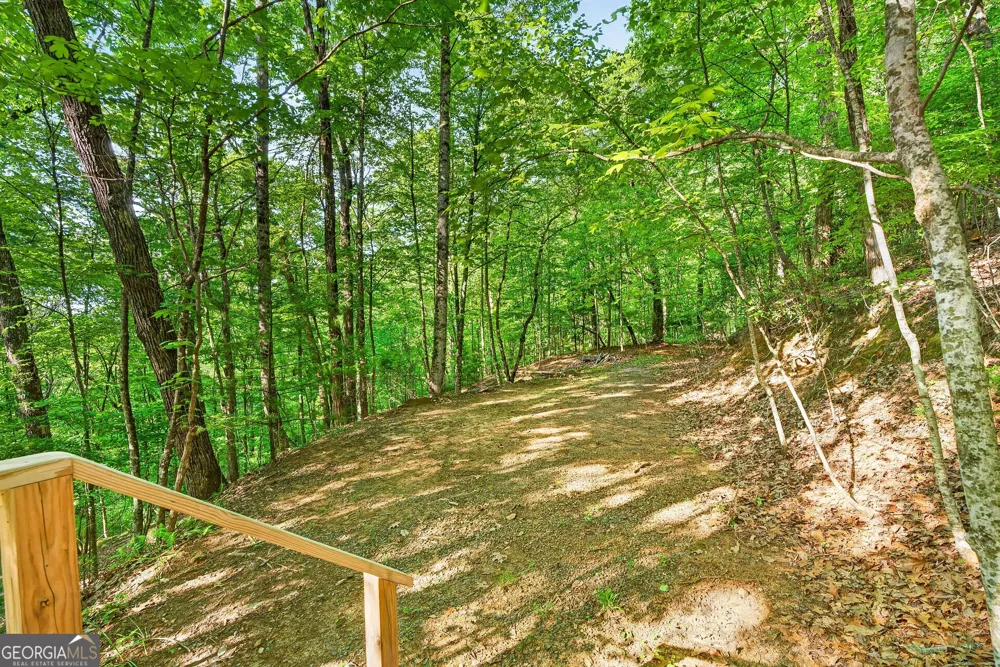 93 Martin XING Cherry Log, GA 30522