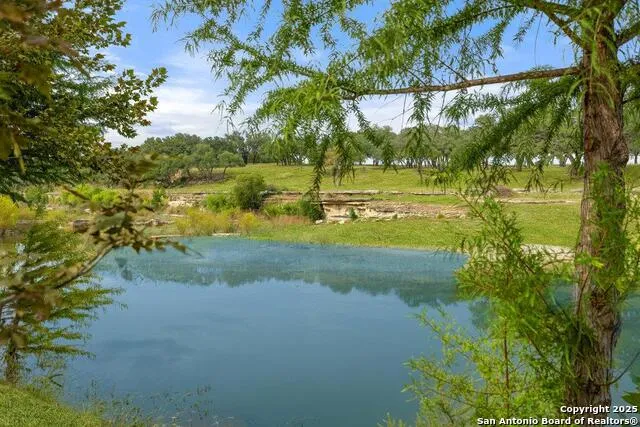 1313 Democrat Blanco, TX 78606