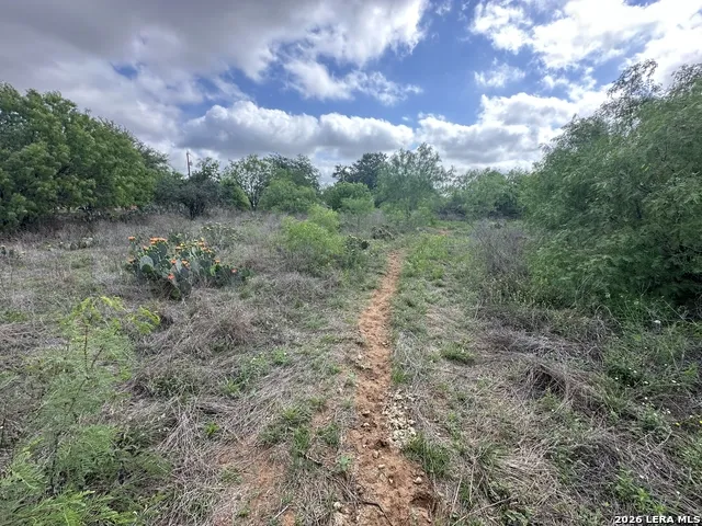 17603 Shepherd Rd Atascosa, TX 78002
